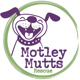 Motley Mutts Rescue logo